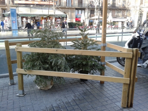 punto de recogida para dejar el árbol de Navidad